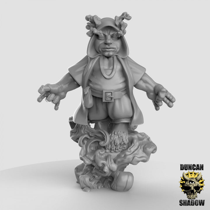 Halfling Character