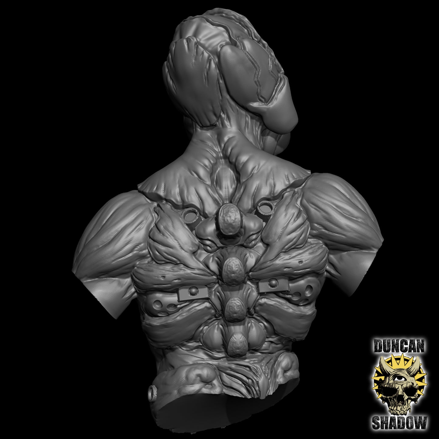 Bio Morph Bust