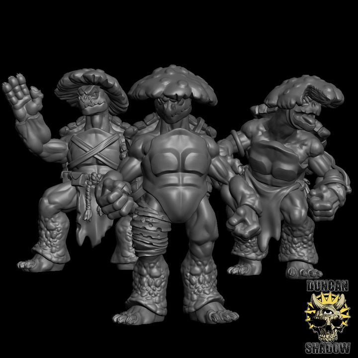 Turtle Folk