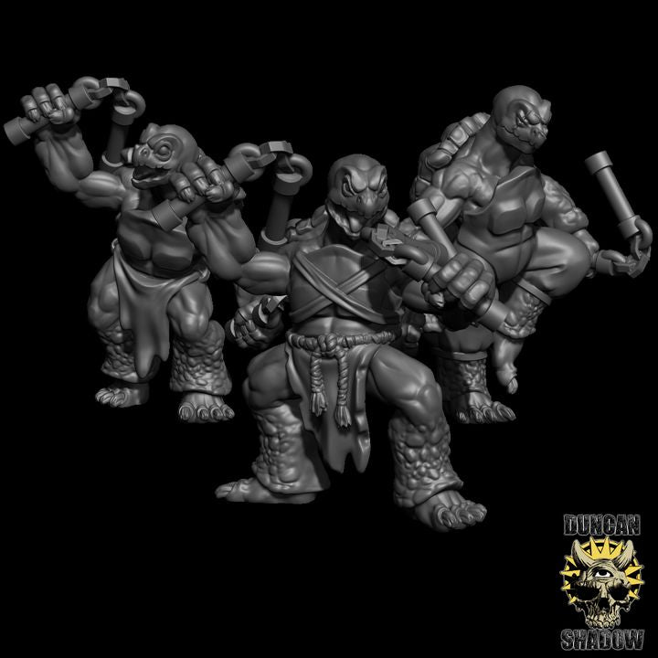 Turtle Folk