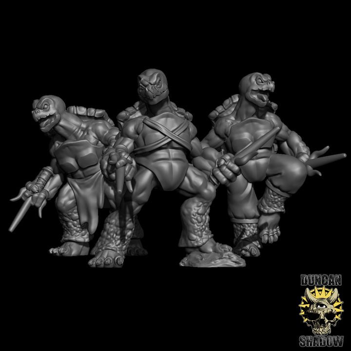 Turtle Folk