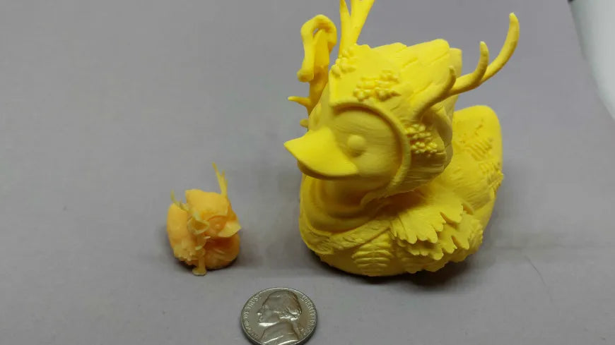 Dungeons and Duckies