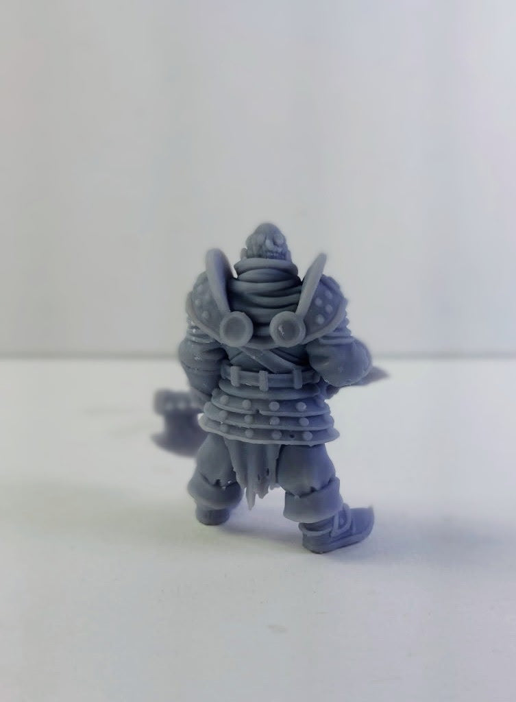 Mercenary Capitain