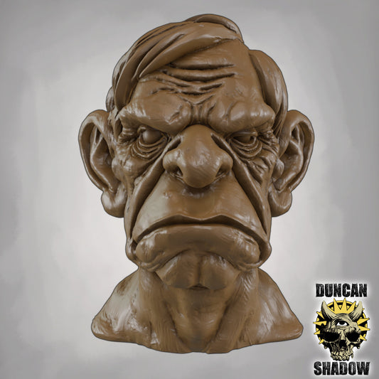 Old Man Bust