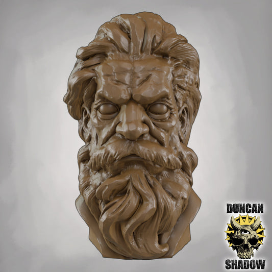 Wise Man Bust