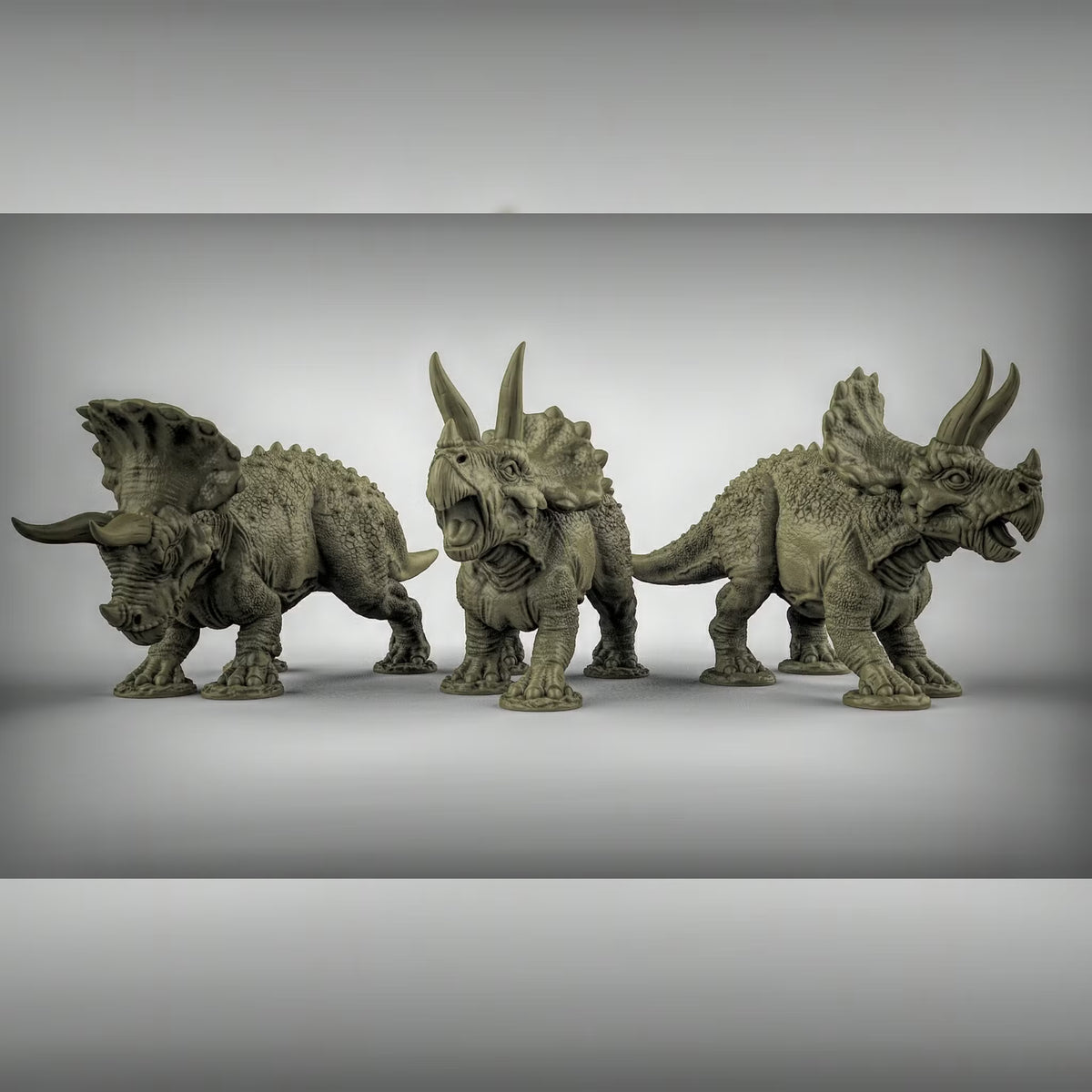 Triceratops