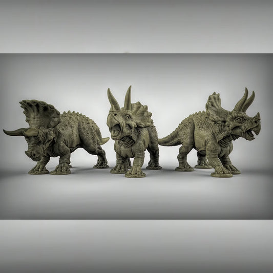 Triceratops
